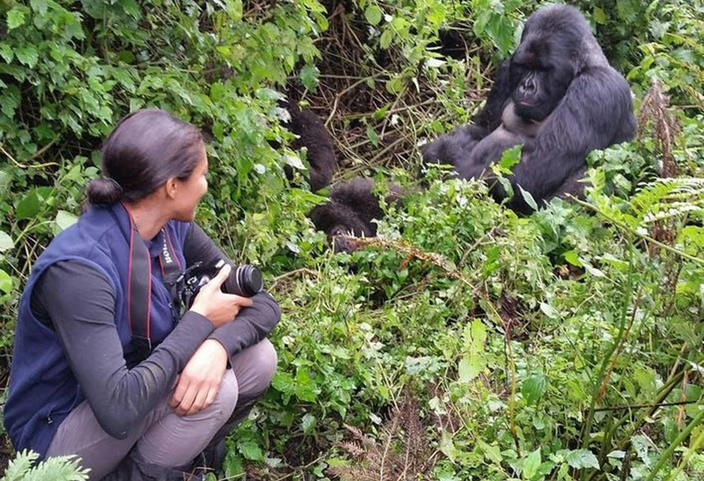 You are currently viewing How Do I Choose a Reliable Tour Operator for a Rwanda Trip?