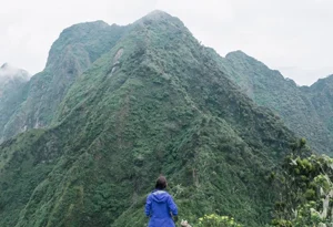 Read more about the article Mount Sabyinyo Climbing Tours 