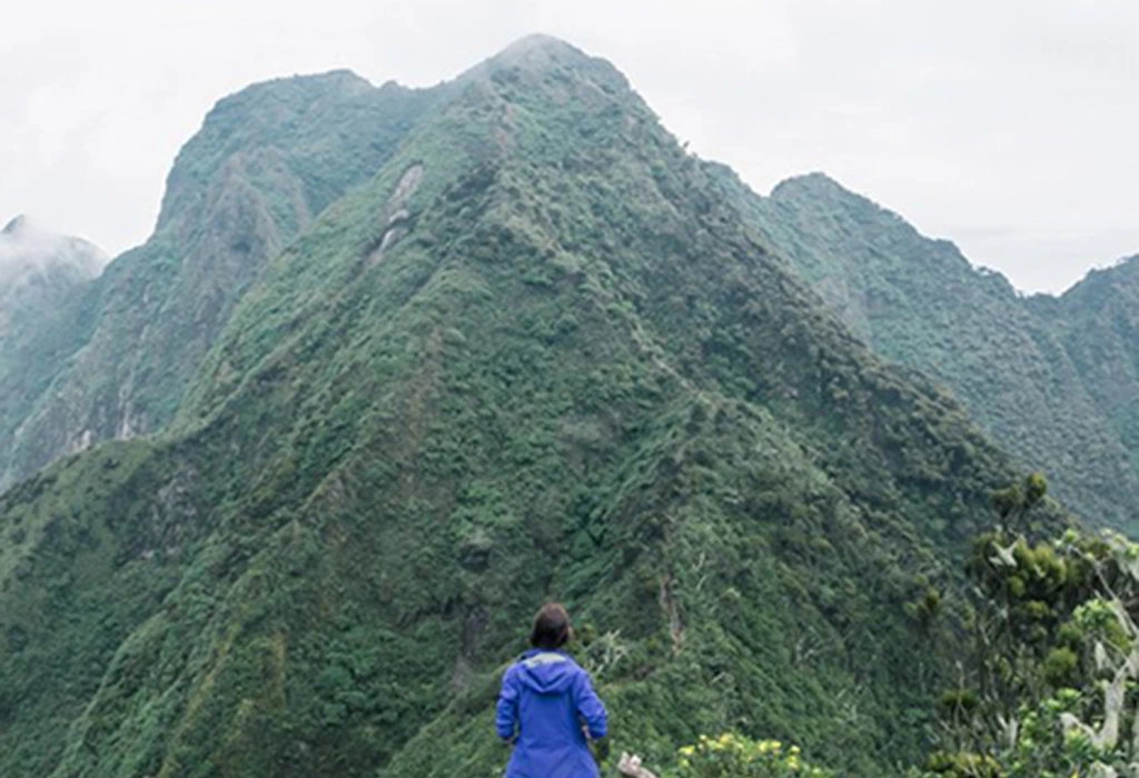 You are currently viewing Mount Sabyinyo Climbing Tours 