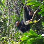 15 Adventure activities to do in Rwanda
