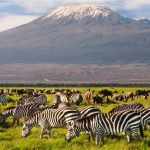 Where to Go for Summer Vacations in Africa