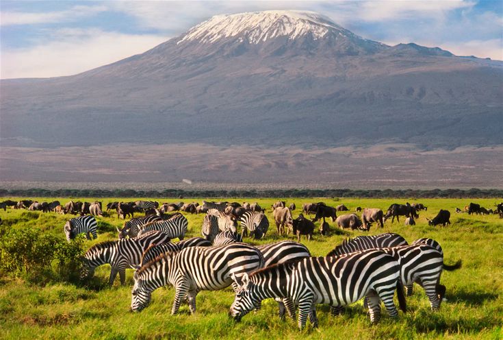 You are currently viewing Where to Go for Summer Vacations in Africa