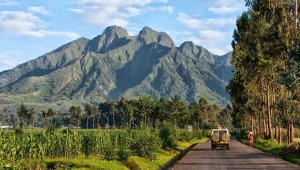 Read more about the article Best weather for a Rwandan Safari