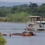 Uganda Boat Cruise Safaris