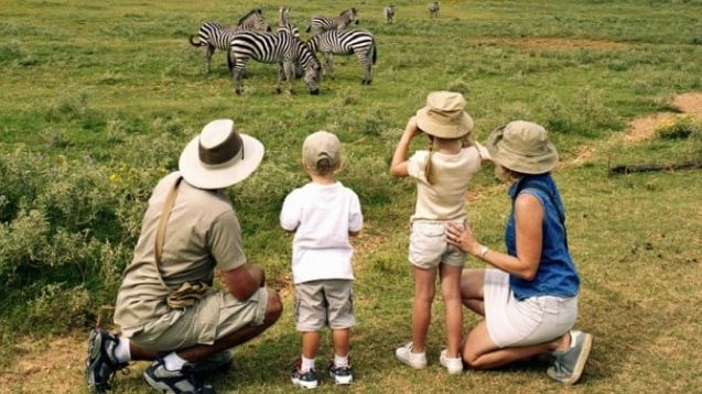 Read more about the article What to Consider When Choosing a Rwanda-Uganda Family Safari