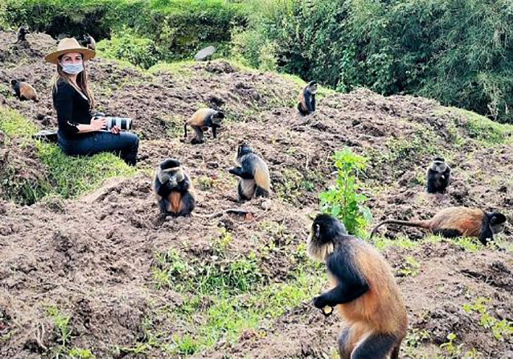 You are currently viewing 2 days golden monkey from Kigali to Volcanoes National Park