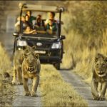 Self-Drive Safari Costs in Uganda and Rwanda