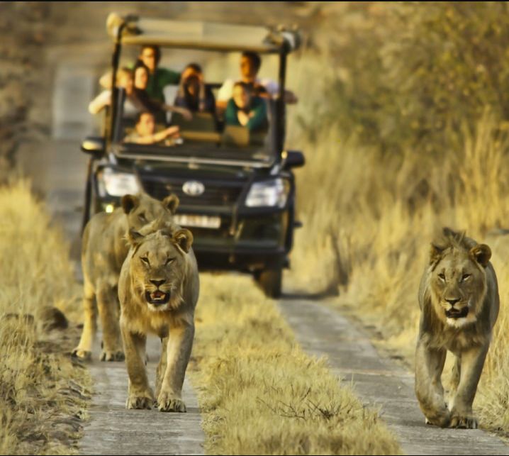 You are currently viewing Self-Drive Safari Costs in Uganda and Rwanda