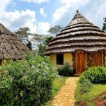 Top Budget Lodges in Uganda for Affordable Safari Travel