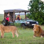 How to Plan a Luxury Trip to Uganda