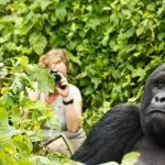 Luxury Gorilla Tour in Rwanda