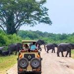 Why travel to Rwanda
