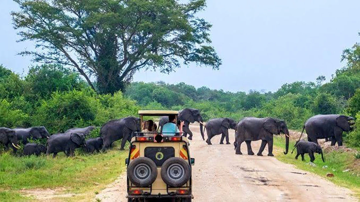 You are currently viewing Why travel to Rwanda
