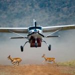How Much Money Do I Need for a Fly In Safari in Uganda?