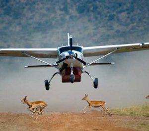 Read more about the article How Much Money Do I Need for a Fly In Safari in Uganda?