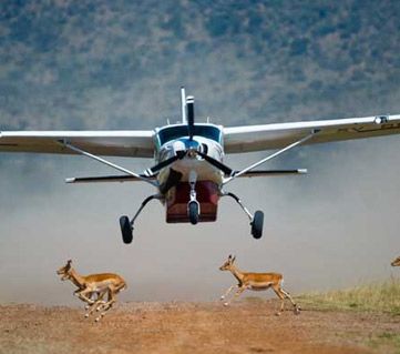 You are currently viewing How Much Money Do I Need for a Fly In Safari in Uganda?