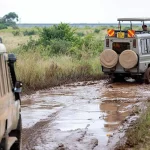 When is the best time to go on a safari in Uganda?