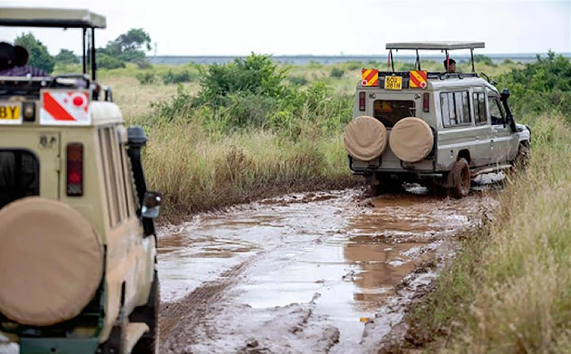 You are currently viewing When is the best time to go on a safari in Uganda?