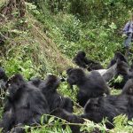 Can I Travel to Uganda Without a Visa?