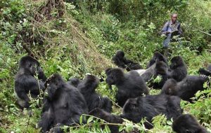 Read more about the article Can I Travel to Uganda Without a Visa?