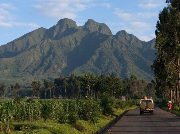 You are currently viewing Can I do mountain hiking Rwanda and Uganda.