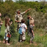 Is it Safe to Bring Children on a Safari in Uganda?