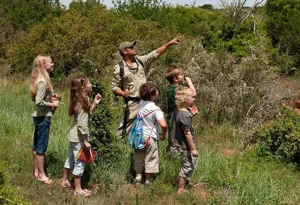 Read more about the article Is it Safe to Bring Children on a Safari in Uganda?