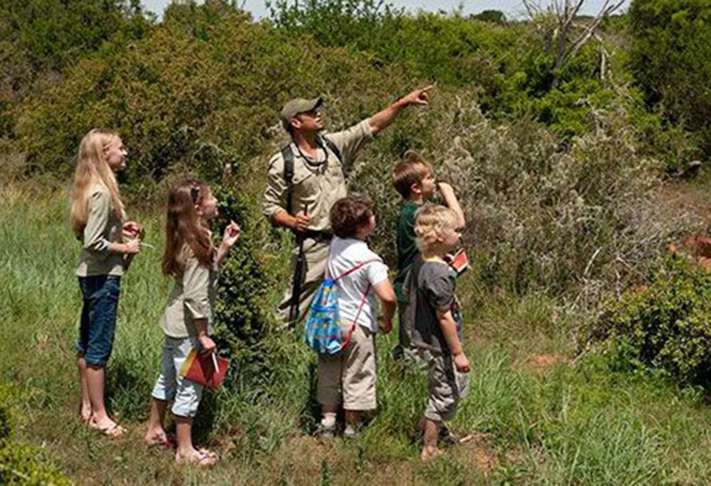 Read more about the article Is it Safe to Bring Children on a Safari in Uganda?