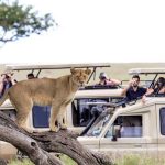 Planning a Safari to Uganda in 2026