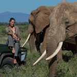 Tips on planning a safari.