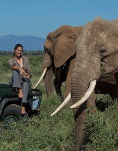 Read more about the article Tips on planning a safari.