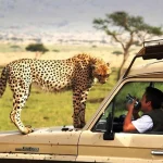 Where to go on safari in East Africa