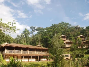 Read more about the article Best places to stay Near Volcanoes National Park