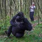 Is It Possible to Get the East African Tourist Visa on Arrival in Rwanda?