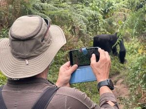 Read more about the article Visiting Bwindi lmpenetrable National Park for the first time