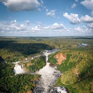 Read more about the article What is the Biggest National Park in Uganda? 