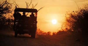 Read more about the article When to go to Rwanda on travel