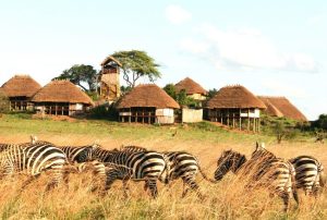 Read more about the article Types of accommodation in Uganda