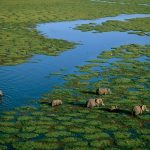 Travelling East Africa in the Green Season