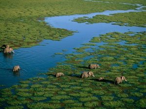 Read more about the article Travelling East Africa in the Green Season
