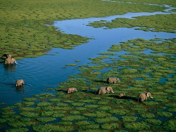You are currently viewing Travelling East Africa in the Green Season
