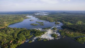 Read more about the article  Planning Your Road Trip Safari in Uganda