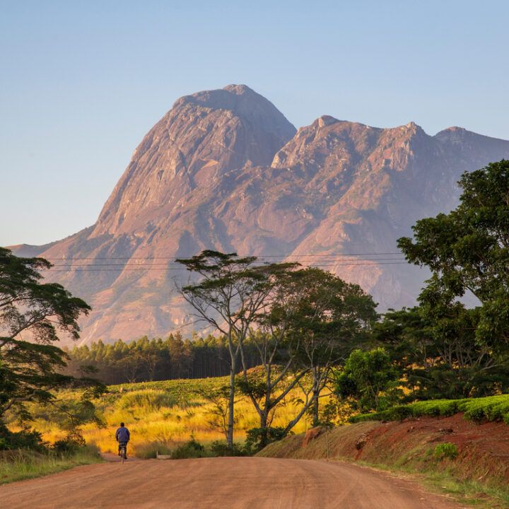 You are currently viewing Visa and Entry Requirements for Travelling in East Africa