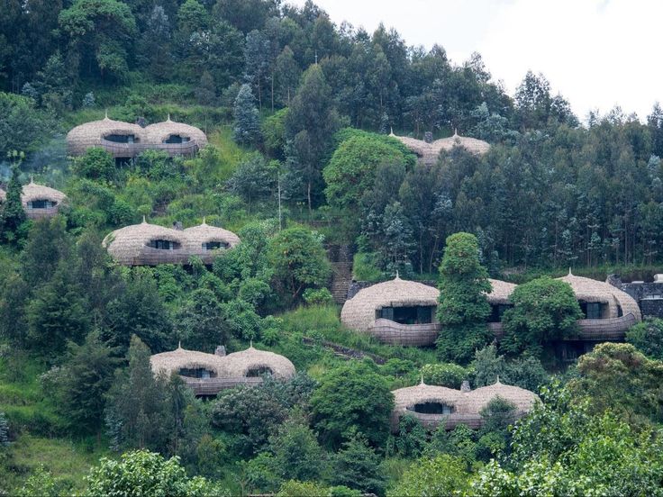 You are currently viewing Top Eco Lodges in Rwanda