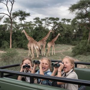 Read more about the article Family Safari Tours in Uganda.