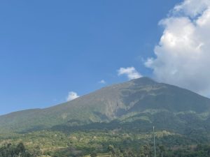 Read more about the article 4 Day Gorilla Trekking and Muhabura Volcano Hike from Kigali.
