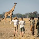 Walking Safaris in Rwanda