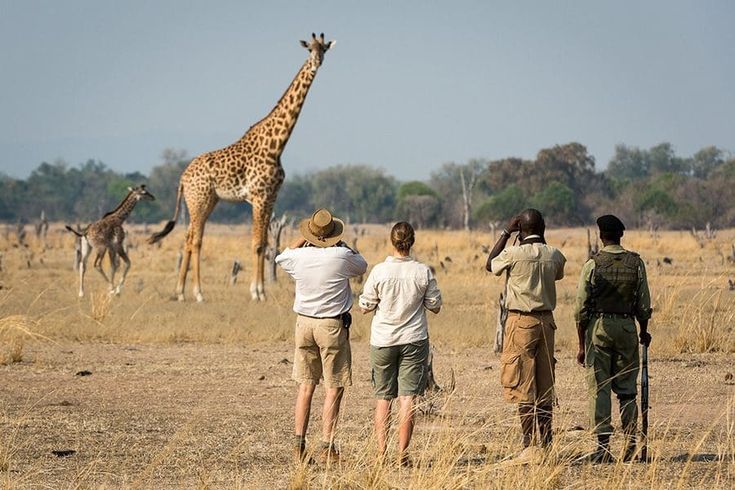 You are currently viewing Walking Safaris in Rwanda