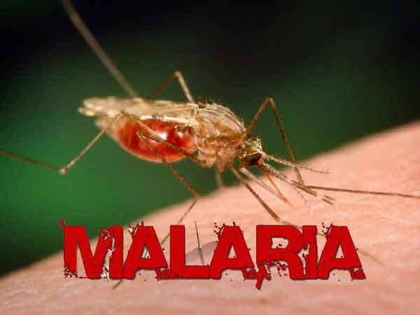 Side effects of malaria pills