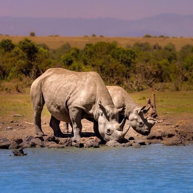You are currently viewing Eco-Tourism Destinations in East Africa